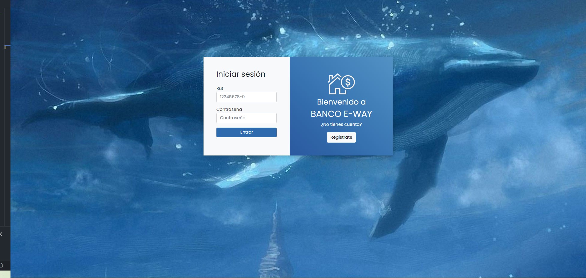 Imagen donde se muestra una web para iniciar sesión